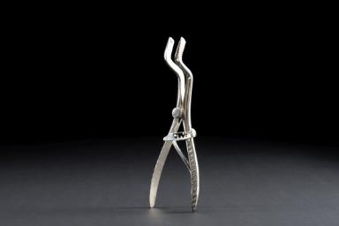 Zangenähnliches Instrument