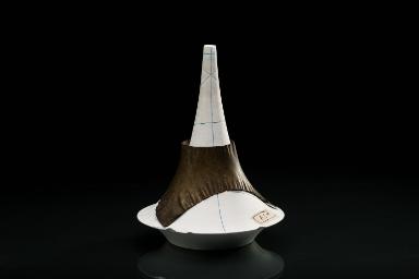 Die Rotationsfläche der Tractrix mit geodätischen und Haupttangenten-Curven