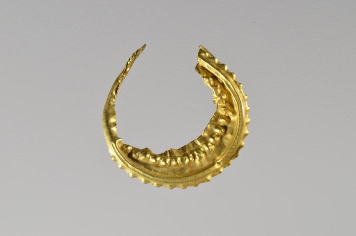 Ohrring
