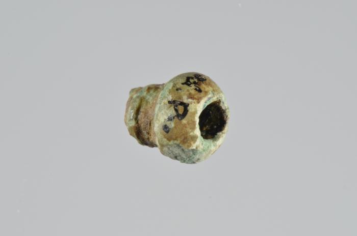 Fragment einer Paukenfibel