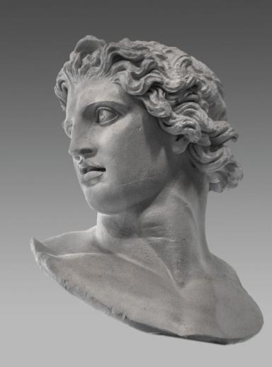 Kopf einer kolossalen Dioskurenstatue, sog. Rossebändiger vom Monte Cavallo ("opus Fidiae")