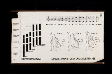 Singstimme und Jodelstimme