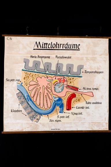 Schematische Übersicht der Mittelohrräume