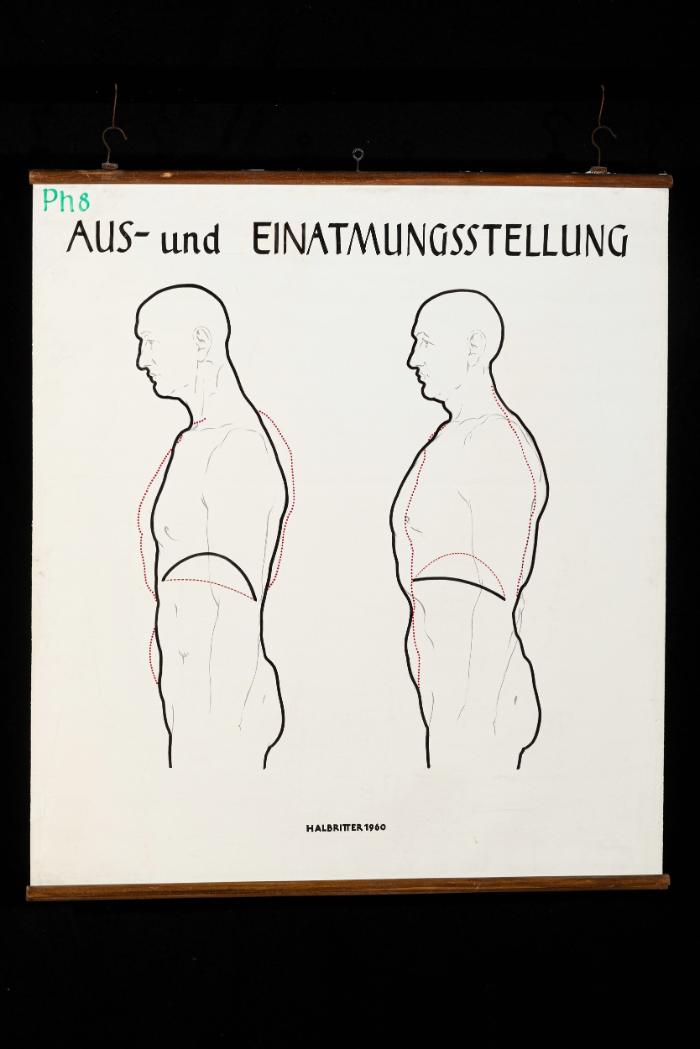 Aus- und Einatmungsstellung