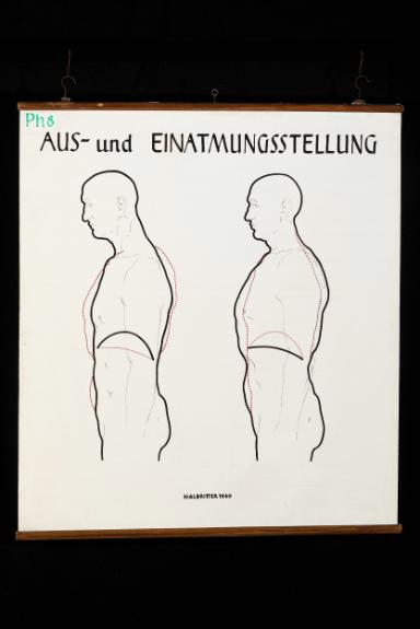 Aus- und Einatmungsstellung