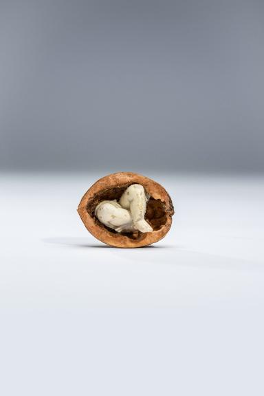 Die unsichtbare Ausstellung