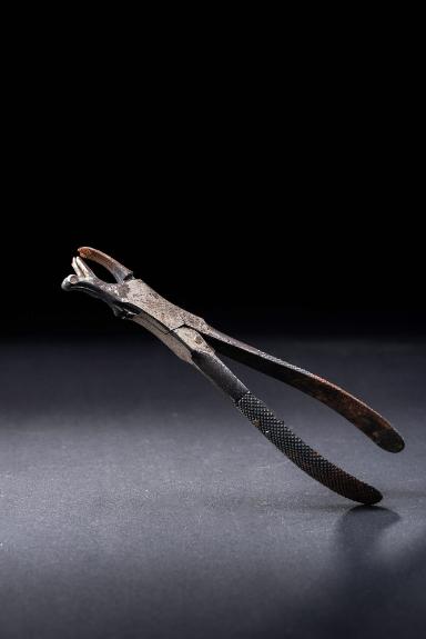 Zahnzange mit Umlenkrolle